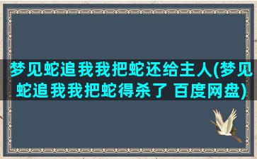 梦见蛇追我我把蛇还给主人(梦见蛇追我我把蛇得杀了 百度网盘)